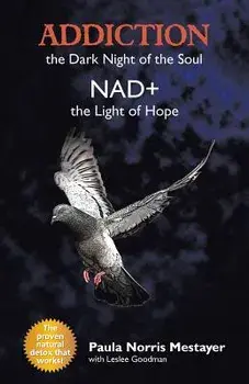 Addiction: the Dark Night of the Soul/ Nad+: the Light of Hope, Paperback/Paula Norris Mestayer