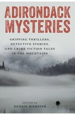 Adirondack Mysteries: Gripping Thrillers, Detective Stories, and Crime Fiction Tales in the Mountains - Dennis Webster