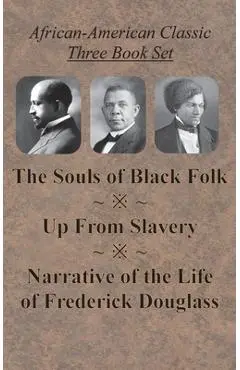 African-American Classic Three Book Set - The Souls of Black Folk, Up From Slavery, and Narrative of the Life of Frederick Douglass - W. E. B. Du Bois