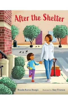 After the Shelter - Brenda Reeves Sturgis