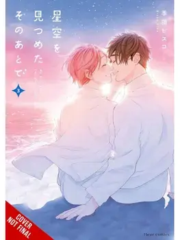 After We Gazed at the Starry Sky, Vol. 3, Paperback/Nicole Roderick
