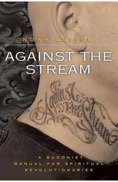 Against the Stream: A Buddhist Manual for Spiritual Revolutionaries - Noah Levine