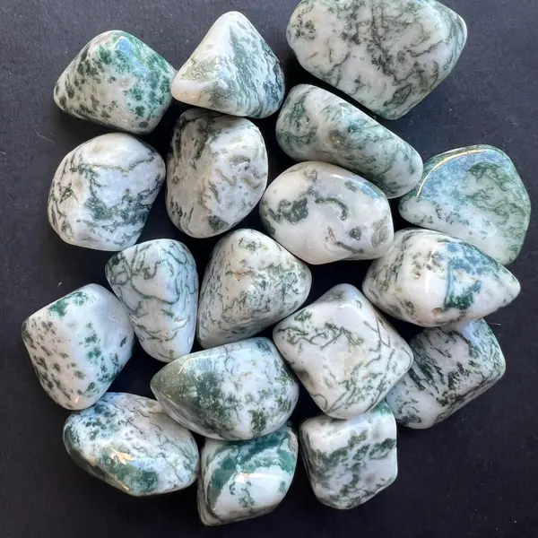 Agat copac piatra rulata mini