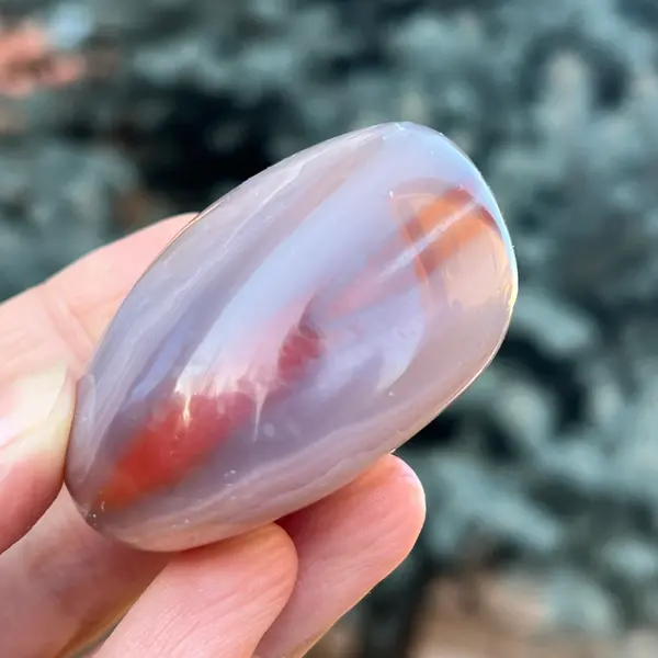 Agat de Botswana palm stone m5A
