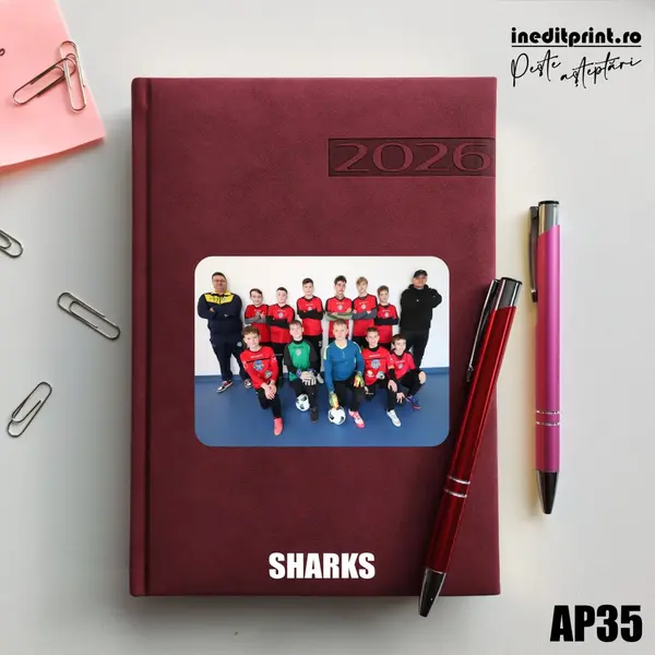 Agenda personalizata 2026 Sport AP35 DELUXE PREMIUM, Teano Bordo