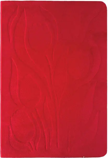 Agendă Victoria's Journals Velvet - 80 foi, roşu