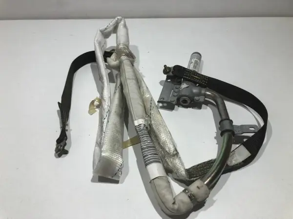 Airbag cortina stanga 30317949 BMW X5 (1999-2006) [E53]