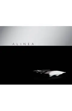 Alinea