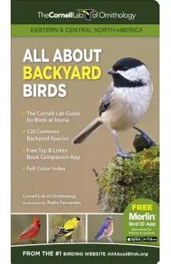 All about Backyard Birds- Eastern & Central North America - Cornell Lab Of Ornithology