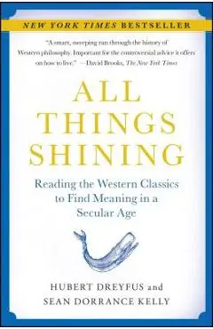 All Things Shining: Reading the Western Classics to Find Meaning in a Secular Age - Hubert Dreyfus