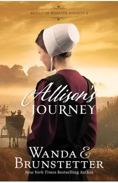 Allison's Journey: Volume 4 - Wanda E. Brunstetter