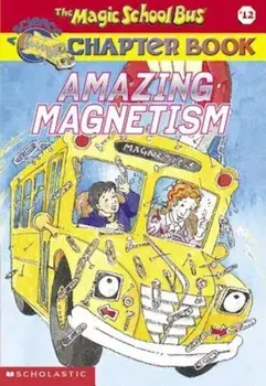 Amazing Magnetism, Paperback/Rebecca Carmi