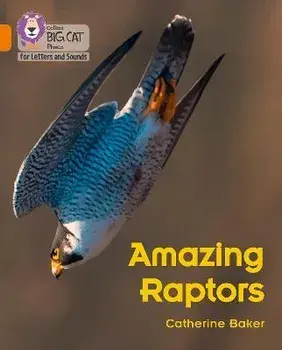 Amazing Raptors. Band 06/Orange, Paperback/Catherine Baker