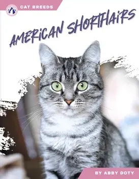 American Shorthairs, Paperback/Abby Doty