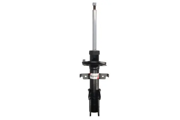 amortizor Magnum Technology AGR122MT