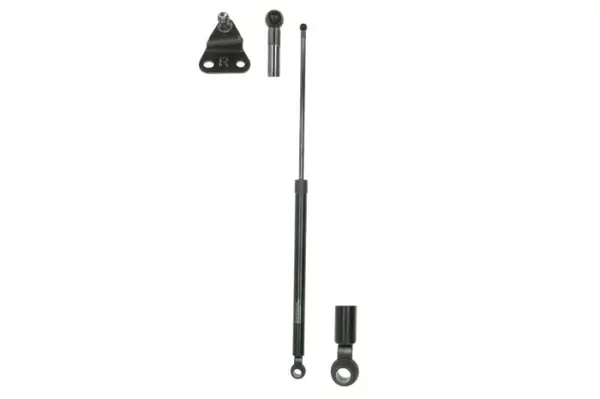 Amortizor portbagaj, haion, spate dreapta, 3 usi, HONDA CIVIC VI Hatchback 1995-2001