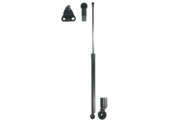 Amortizor portbagaj, haion, spate stanga, 3 usi, HONDA CIVIC VI Hatchback 1995-2001