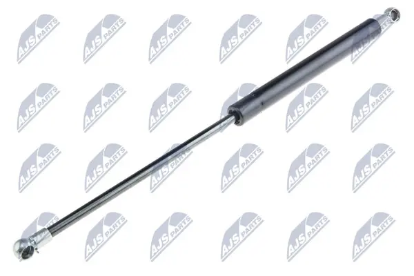 Amortizor portbagaj NTY AE-FR-027