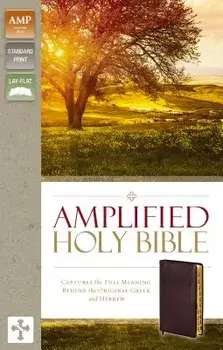 Amplified-Am: Captures the Full Meaning Behind the Original Greek and Hebrew/Zondervan