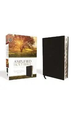 Amplified-Am: Captures the Full Meaning Behind the Original Greek and Hebrew - Zondervan