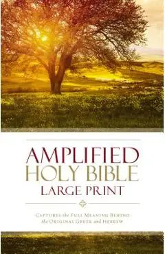 Amplified Bible-Am-Large Print: Captures the Full Meaning Behind the Original Greek and Hebrew - Zondervan
