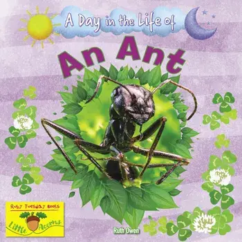 An Ant, Paperback/Ruth Owen