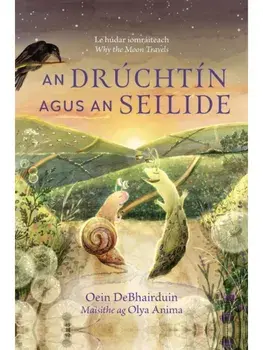An Druchtin agus an Seilide, Hardback/Oein DeBhairduin