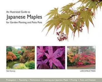 An Illustrated Guide to Japanese Maples for Garden Planting and Patio Pots, Paperback/Neil Kenney