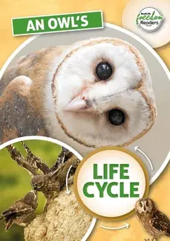 An Owl's Life Cycle, Paperback/Madeline Tyler