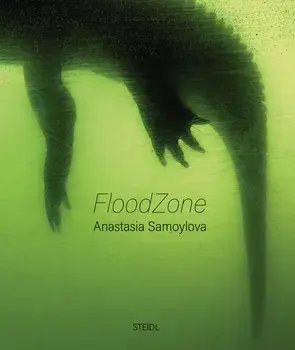 Anastasia Samoylova: Floodzone, Hardcover/Anastasia Samoylova