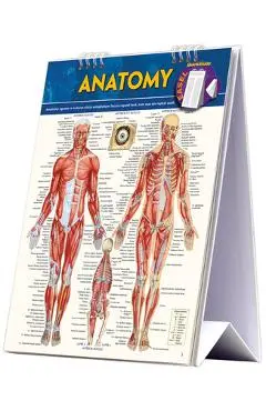Anatomy Easel Book: A Quickstudy Reference Tool - Vincent Perez