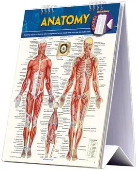 Anatomy Easel Book: A Quickstudy Reference Tool/Vincent Perez