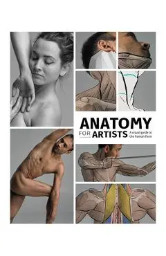Anatomy for Artists: A Visual Guide to the Human Form - Publishing 3dtotal