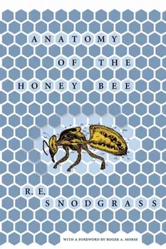 Anatomy of the Honey Bee, Paperback/R. E. Snodgrass