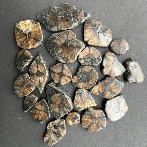 Andaluzit - Piatra Crucii -Chiastolit piatra rulata plata
