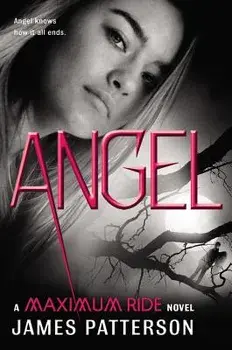 Angel, Hardcover/James Patterson