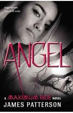 Angel - James Patterson