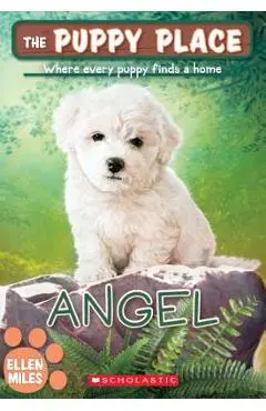 Angel (the Puppy Place #46), Volume 46 - Ellen Miles