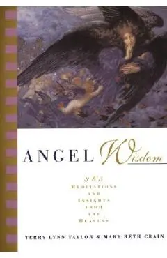 Angel Wisdom: 365 Meditations from the Heavens - Terry Lynn Taylor