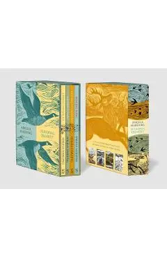 Angela Harding Seasonal Quartet Boxset: Includes Spring Unfurled, Summer's Hum, Falling Into Autumn and Winter's Song - Angela Harding