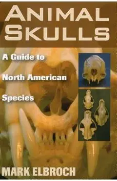Animal Skulls: A Guide to North American Species - Mark Elbroch