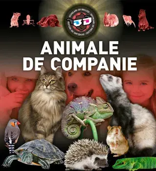 Animale de companie. 3D/***