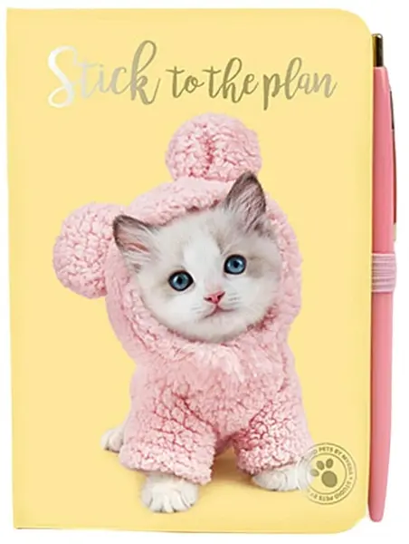 Animale de companie Studio - Mousy