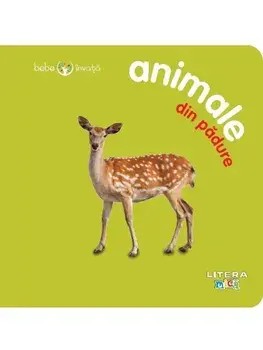 Animale din padure. Bebe invata/***