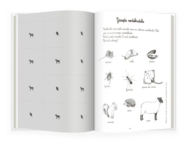 Animale si insecte | Eve Herrmann