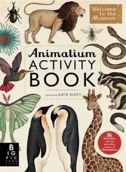 Animalium Activity Book, Paperback/Katie Scott
