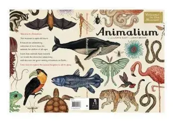 Animalium, Hardcover/***
