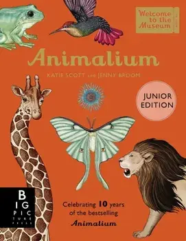 Animalium (Junior Edition), Hardback/Jenny Broom