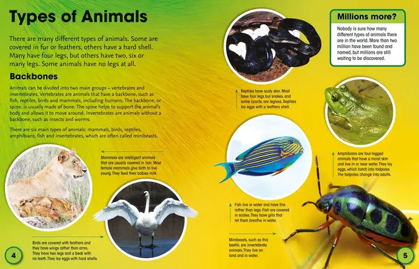 Animals |