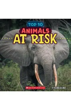 Animals at Risk (Wild World: Top 10) - Brenna Maloney